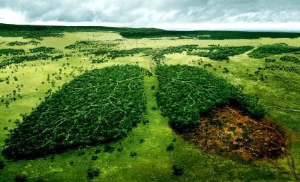 از سوي ستاد محيط زيست و توسعه پايدار شهرداري تهران صورت گرفت انتشار کتاب مجموعه قوانين محيط زيست شهري